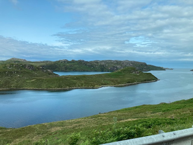 IMG_5545.jpg