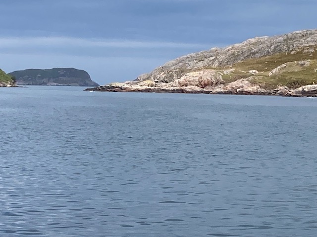 IMG_5551.jpg