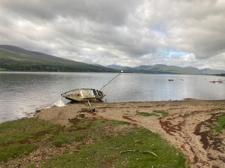 IMG_5724.jpg